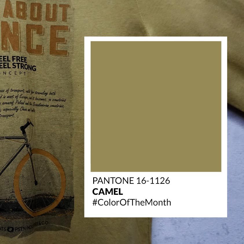 Nuevo color del mes de noviembre: CAMEL